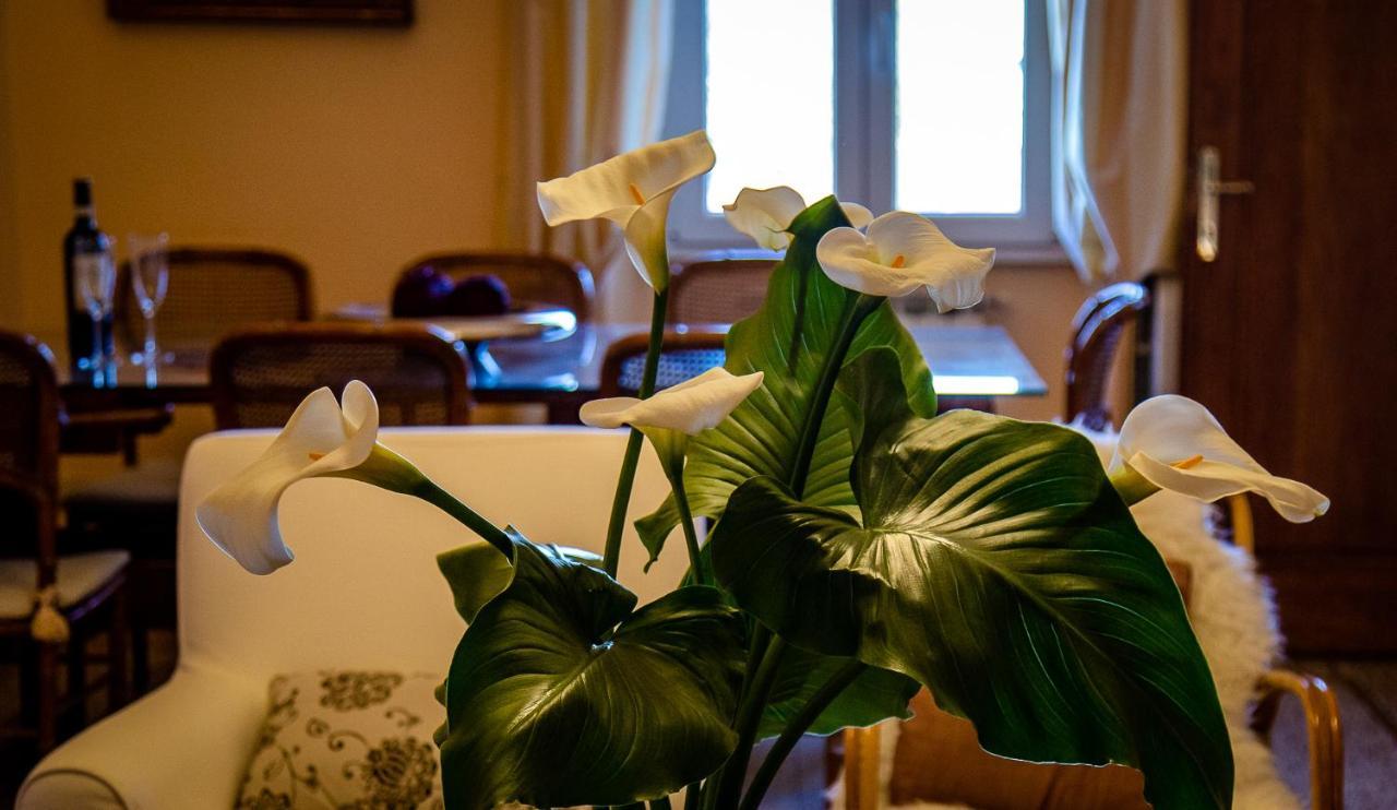 Il Palagetto B&B フィレンツェ エクステリア 写真